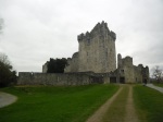 Ross Castle. Technically not a castle but a tower house.