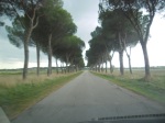 Road leading to our Pisa campsite